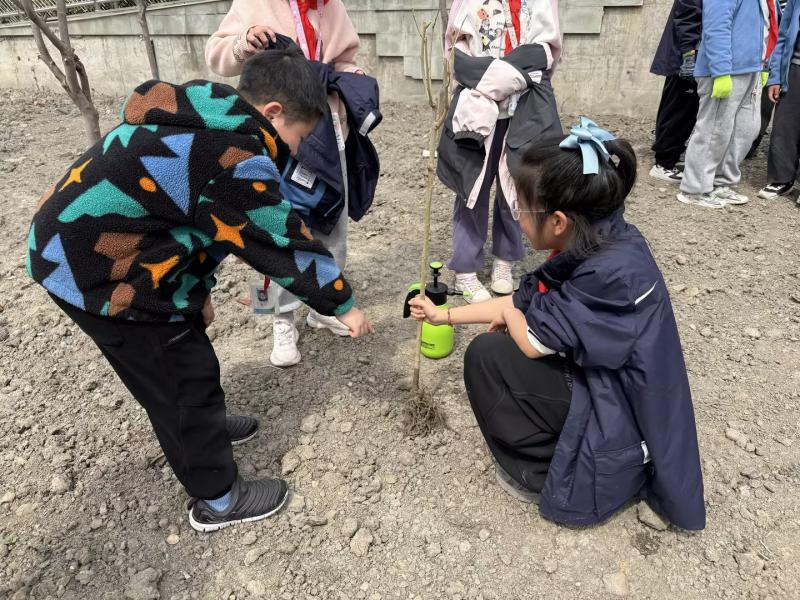 29fd7a8a-7725-4863-acf4-78ca6ae1fd59.jpg 29fd7a8a-7725-4863-acf4-78ca6ae1fd59.jpg