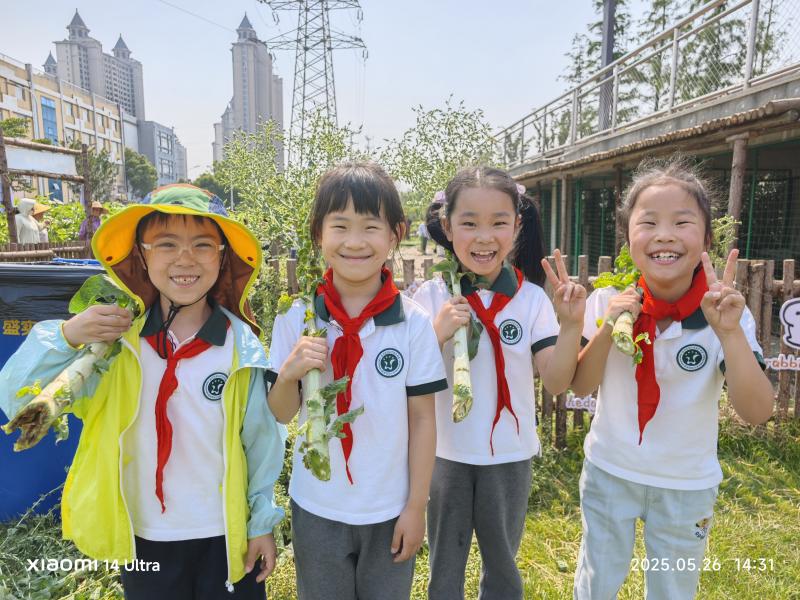 fbbecf4f4c7fb5bf1a3ceda7df2b9e4f_origin(1).jpg fbbecf4f4c7fb5bf1a3ceda7df2b9e4f_origin(1).jpg