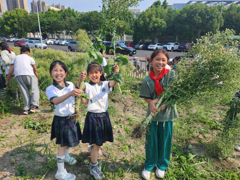 1759ada0029d3391f10d22116bb4d8f1_compress.jpg 1759ada0029d3391f10d22116bb4d8f1_compress.jpg